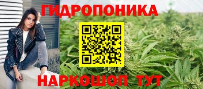 крисы Кандалакша