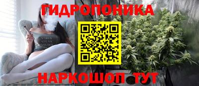 крисы Кандалакша
