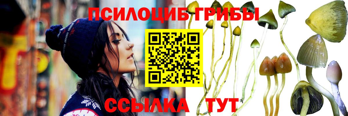 Магадан  закладки  Галлюциногенные грибы GOLDEN TEACHER  Вход с VPN  Галлюциногенные грибы Psilocybine cubensis 